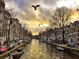 Exploring the Vibrant World of Dutch Tulip Field Excursions: A Journey Through Color and Culture